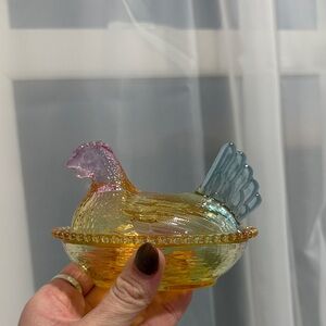 RAINBOW HON hen on nest